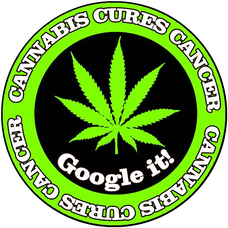Cannabis cures cancer Google it